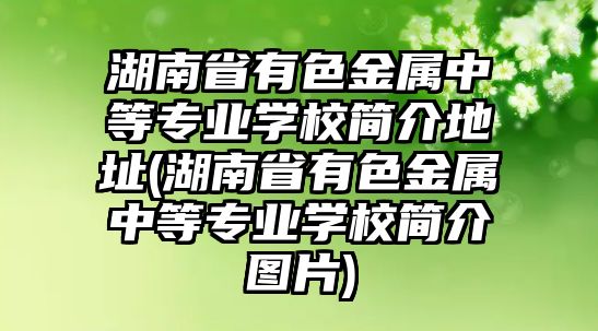 湖南省有色金屬中等專業(yè)學(xué)校簡(jiǎn)介地址(湖南省有色金屬中等專業(yè)學(xué)校簡(jiǎn)介圖片)