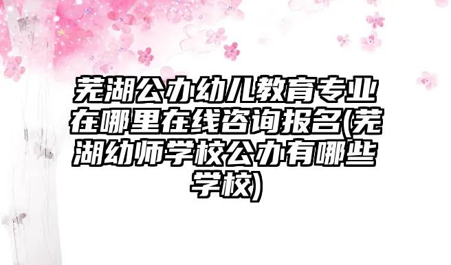 蕪湖公辦幼兒教育專業(yè)在哪里在線咨詢報名(蕪湖幼師學(xué)校公辦有哪些學(xué)校)