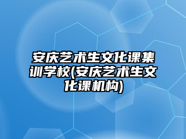 安慶藝術(shù)生文化課集訓(xùn)學(xué)校(安慶藝術(shù)生文化課機(jī)構(gòu))