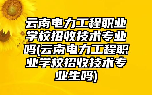 云南電力工程職業(yè)學(xué)校招收技術(shù)專業(yè)嗎(云南電力工程職業(yè)學(xué)校招收技術(shù)專業(yè)生嗎)