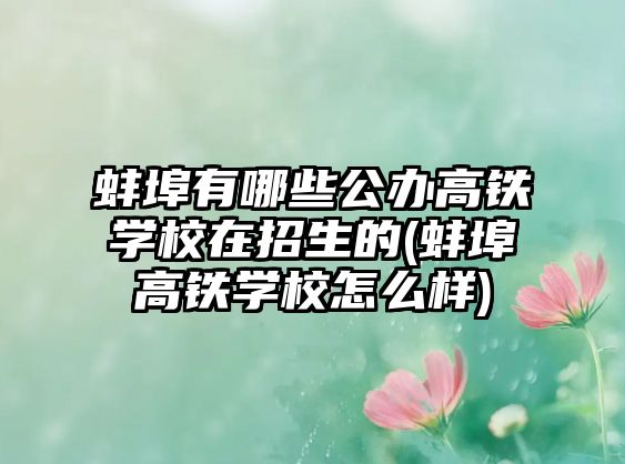 蚌埠有哪些公辦高鐵學(xué)校在招生的(蚌埠高鐵學(xué)校怎么樣)