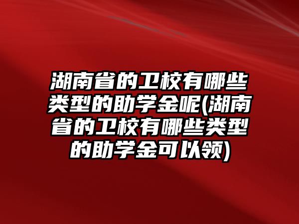 湖南省的衛(wèi)校有哪些類型的助學金呢(湖南省的衛(wèi)校有哪些類型的助學金可以領(lǐng))