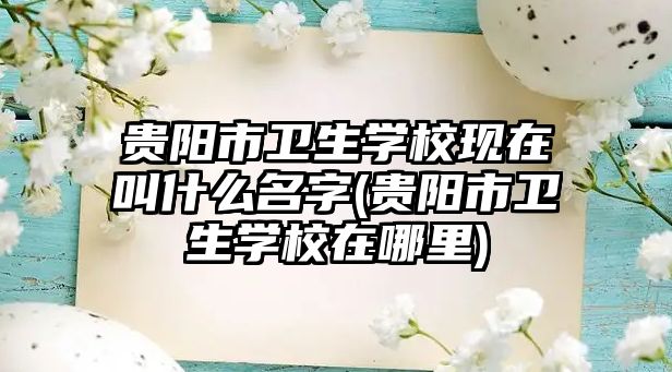 貴陽市衛(wèi)生學(xué)校現(xiàn)在叫什么名字(貴陽市衛(wèi)生學(xué)校在哪里)