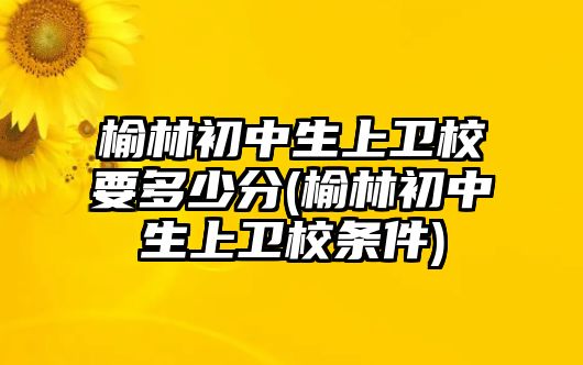 榆林初中生上衛(wèi)校要多少分(榆林初中生上衛(wèi)校條件)