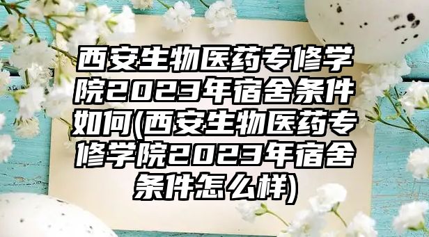 西安生物醫(yī)藥專修學(xué)院2023年宿舍條件如何(西安生物醫(yī)藥專修學(xué)院2023年宿舍條件怎么樣)