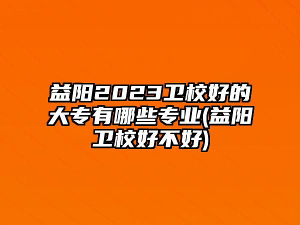 益陽2023衛(wèi)校好的大專有哪些專業(yè)(益陽衛(wèi)校好不好)