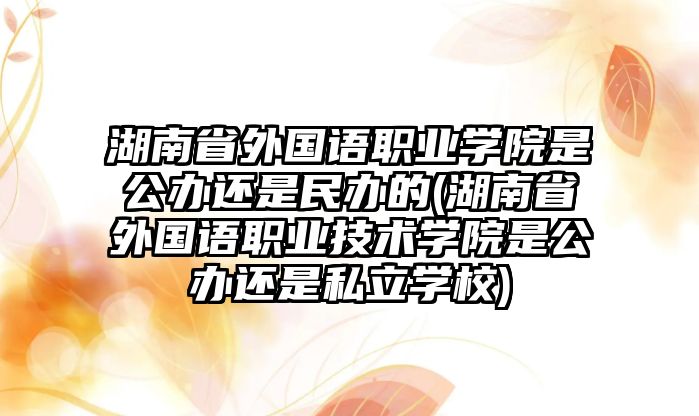 湖南省外國語職業(yè)學(xué)院是公辦還是民辦的(湖南省外國語職業(yè)技術(shù)學(xué)院是公辦還是私立學(xué)校)