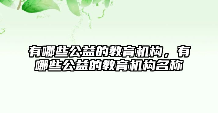 有哪些公益的教育機構(gòu)，有哪些公益的教育機構(gòu)名稱