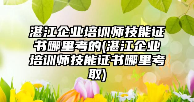 湛江企業(yè)培訓(xùn)師技能證書哪里考的(湛江企業(yè)培訓(xùn)師技能證書哪里考取)