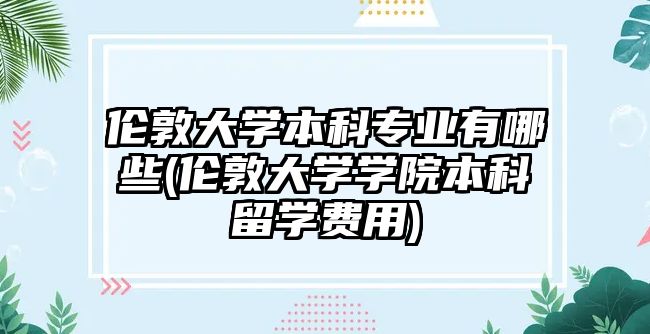 倫敦大學本科專業(yè)有哪些(倫敦大學學院本科留學費用)