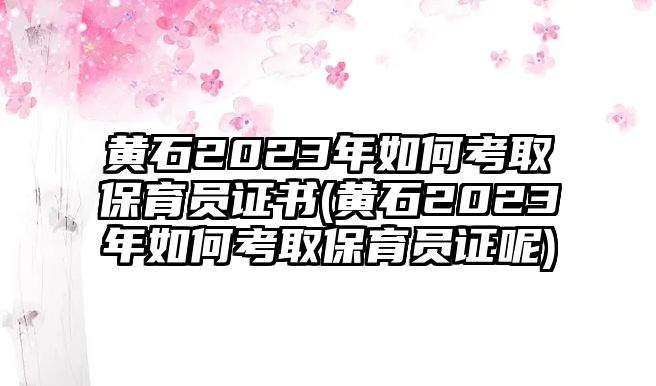 黃石2023年如何考取保育員證書(黃石2023年如何考取保育員證呢)