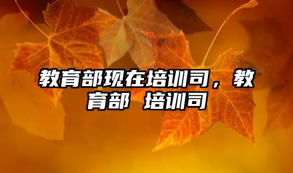 教育部現(xiàn)在培訓(xùn)司，教育部 培訓(xùn)司