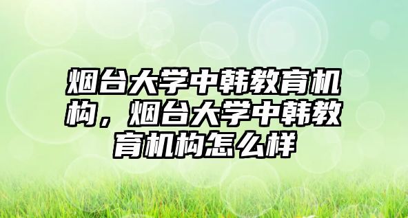 煙臺大學中韓教育機構，煙臺大學中韓教育機構怎么樣