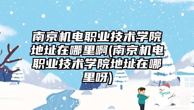 南京機電職業(yè)技術學院地址在哪里啊(南京機電職業(yè)技術學院地址在哪里呀)