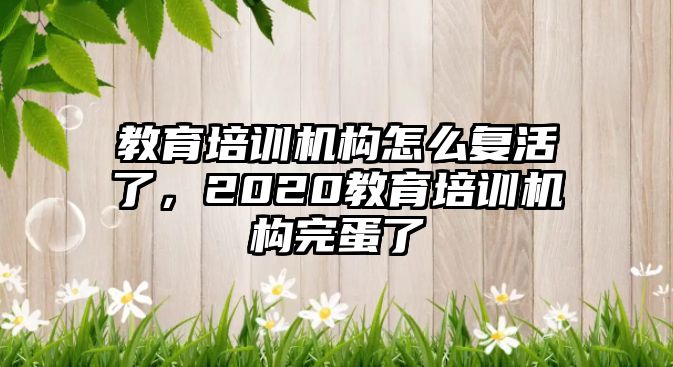 教育培訓機構(gòu)怎么復活了，2020教育培訓機構(gòu)完蛋了