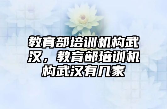 教育部培訓(xùn)機(jī)構(gòu)武漢，教育部培訓(xùn)機(jī)構(gòu)武漢有幾家