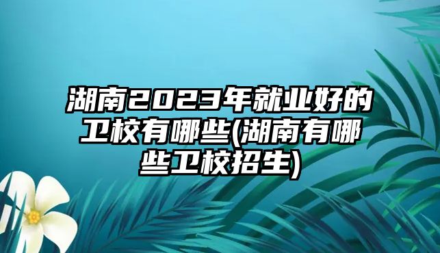 湖南2023年就業(yè)好的衛(wèi)校有哪些(湖南有哪些衛(wèi)校招生)