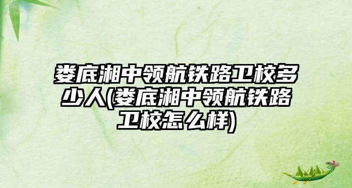 婁底湘中領(lǐng)航鐵路衛(wèi)校多少人(婁底湘中領(lǐng)航鐵路衛(wèi)校怎么樣)