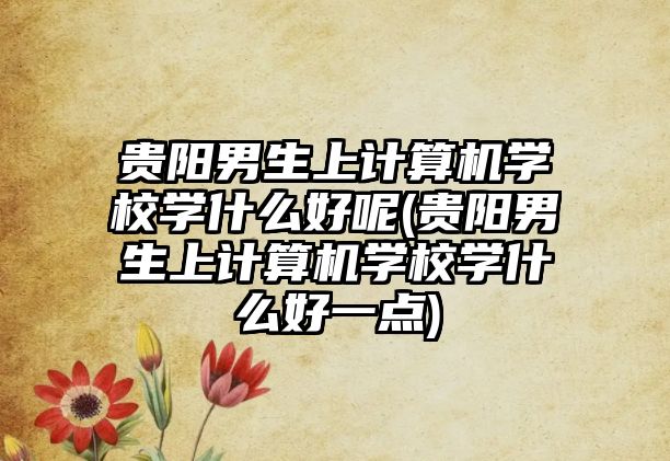 貴陽男生上計算機學(xué)校學(xué)什么好呢(貴陽男生上計算機學(xué)校學(xué)什么好一點)