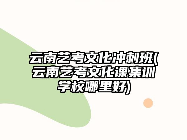 云南藝考文化沖刺班(云南藝考文化課集訓(xùn)學(xué)校哪里好)