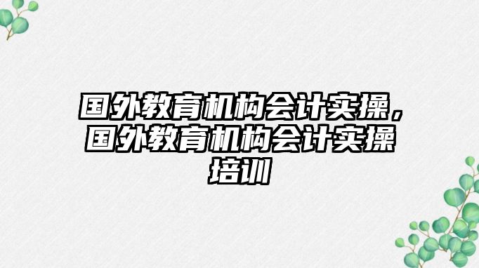 國外教育機構會計實操，國外教育機構會計實操培訓