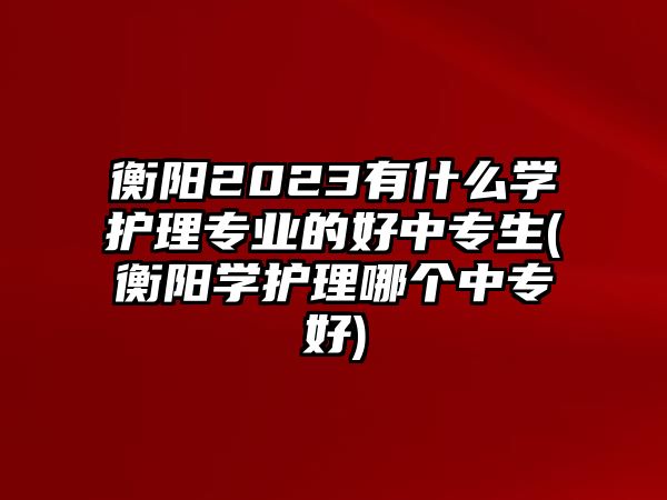 衡陽2023有什么學(xué)護(hù)理專業(yè)的好中專生(衡陽學(xué)護(hù)理哪個中專好)