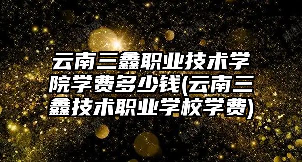 云南三鑫職業(yè)技術學院學費多少錢(云南三鑫技術職業(yè)學校學費)