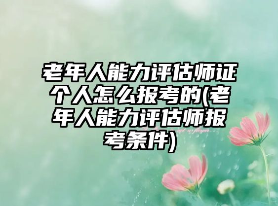 老年人能力評估師證個人怎么報考的(老年人能力評估師報考條件)