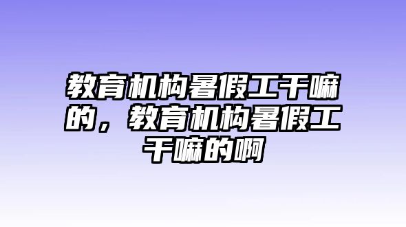 教育機構(gòu)暑假工干嘛的，教育機構(gòu)暑假工干嘛的啊