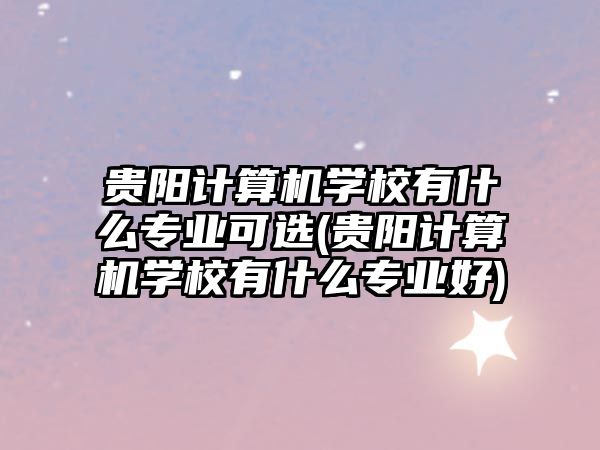 貴陽計算機學校有什么專業(yè)可選(貴陽計算機學校有什么專業(yè)好)