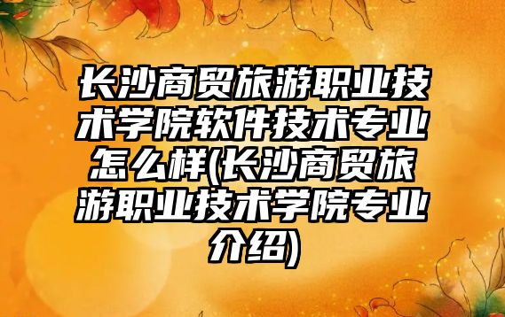 長沙商貿旅游職業(yè)技術學院軟件技術專業(yè)怎么樣(長沙商貿旅游職業(yè)技術學院專業(yè)介紹)