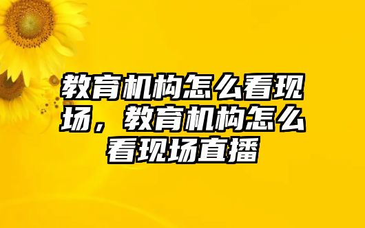 教育機(jī)構(gòu)怎么看現(xiàn)場(chǎng)，教育機(jī)構(gòu)怎么看現(xiàn)場(chǎng)直播