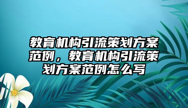 教育機(jī)構(gòu)引流策劃方案范例，教育機(jī)構(gòu)引流策劃方案范例怎么寫(xiě)