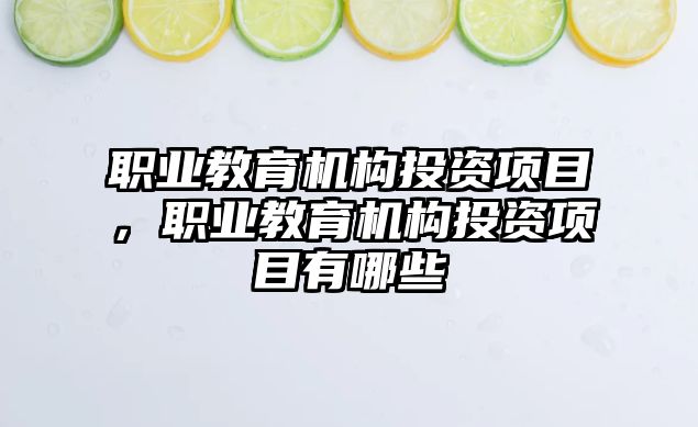 職業(yè)教育機構投資項目，職業(yè)教育機構投資項目有哪些