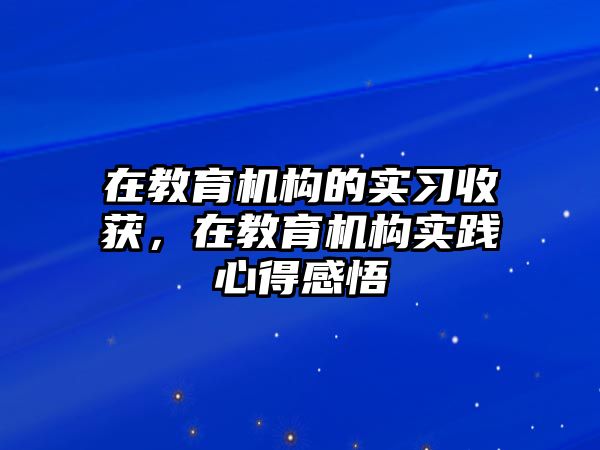 在教育機(jī)構(gòu)的實(shí)習(xí)收獲，在教育機(jī)構(gòu)實(shí)踐心得感悟