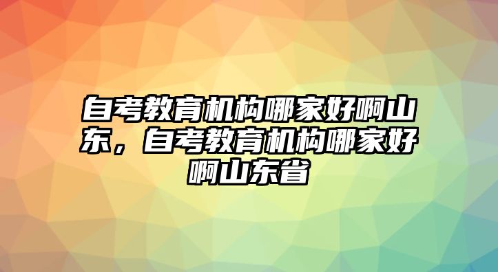 自考教育機(jī)構(gòu)哪家好啊山東，自考教育機(jī)構(gòu)哪家好啊山東省