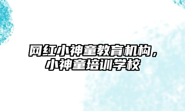 網(wǎng)紅小神童教育機(jī)構(gòu)，小神童培訓(xùn)學(xué)校