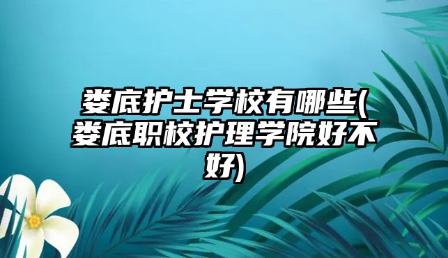 婁底護(hù)士學(xué)校有哪些(婁底職校護(hù)理學(xué)院好不好)