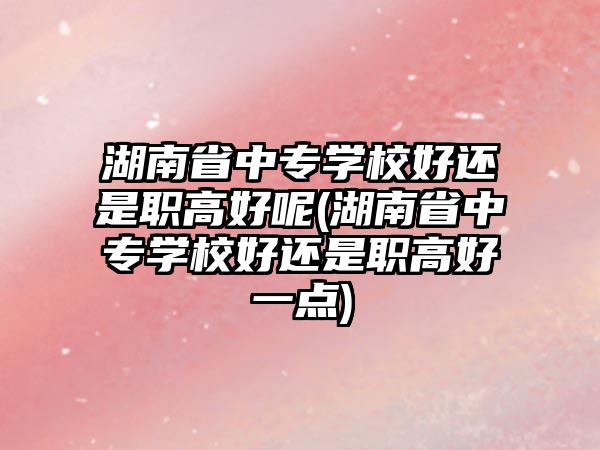 湖南省中專學(xué)校好還是職高好呢(湖南省中專學(xué)校好還是職高好一點)