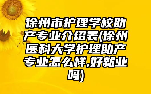 徐州市護(hù)理學(xué)校助產(chǎn)專業(yè)介紹表(徐州醫(yī)科大學(xué)護(hù)理助產(chǎn)專業(yè)怎么樣,好就業(yè)嗎)