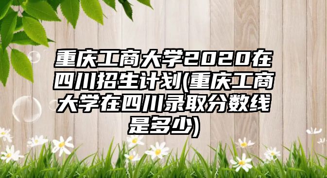 重慶工商大學(xué)2020在四川招生計(jì)劃(重慶工商大學(xué)在四川錄取分?jǐn)?shù)線是多少)