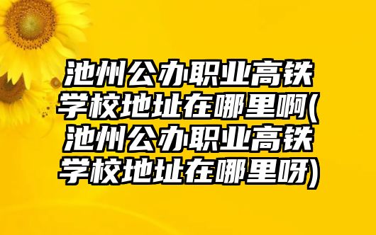 池州公辦職業(yè)高鐵學校地址在哪里啊(池州公辦職業(yè)高鐵學校地址在哪里呀)