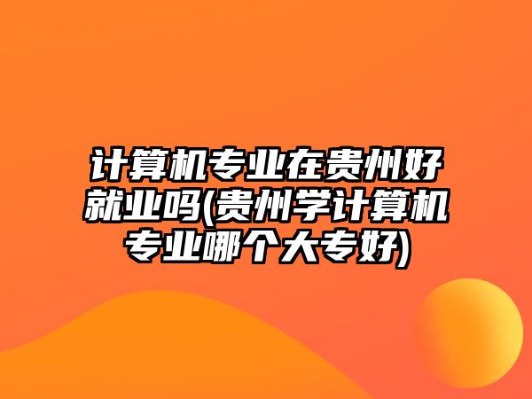 計算機專業(yè)在貴州好就業(yè)嗎(貴州學(xué)計算機專業(yè)哪個大專好)