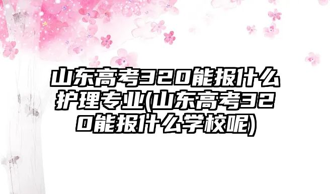 山東高考320能報什么護理專業(yè)(山東高考320能報什么學校呢)