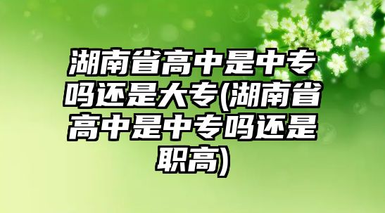 湖南省高中是中專嗎還是大專(湖南省高中是中專嗎還是職高)