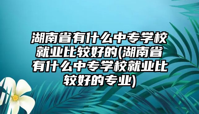 湖南省有什么中專學校就業(yè)比較好的(湖南省有什么中專學校就業(yè)比較好的專業(yè))