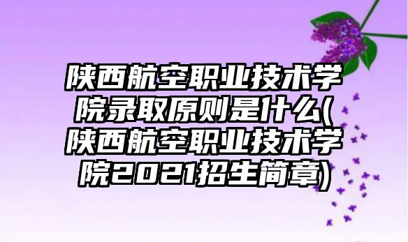 陜西航空職業(yè)技術(shù)學(xué)院錄取原則是什么(陜西航空職業(yè)技術(shù)學(xué)院2021招生簡(jiǎn)章)