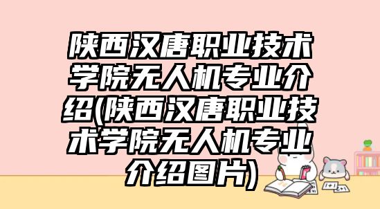 陜西漢唐職業(yè)技術(shù)學(xué)院無(wú)人機(jī)專業(yè)介紹(陜西漢唐職業(yè)技術(shù)學(xué)院無(wú)人機(jī)專業(yè)介紹圖片)