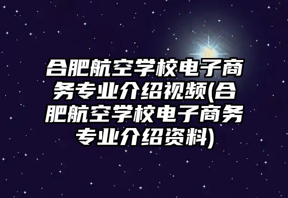 合肥航空學(xué)校電子商務(wù)專業(yè)介紹視頻(合肥航空學(xué)校電子商務(wù)專業(yè)介紹資料)