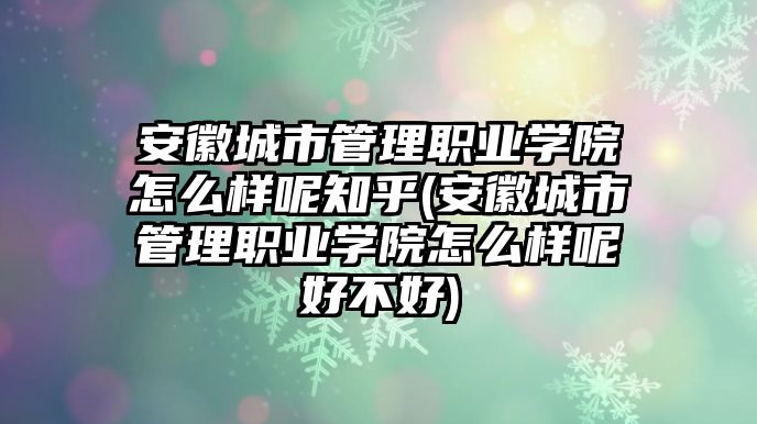 安徽城市管理職業(yè)學(xué)院怎么樣呢知乎(安徽城市管理職業(yè)學(xué)院怎么樣呢好不好)